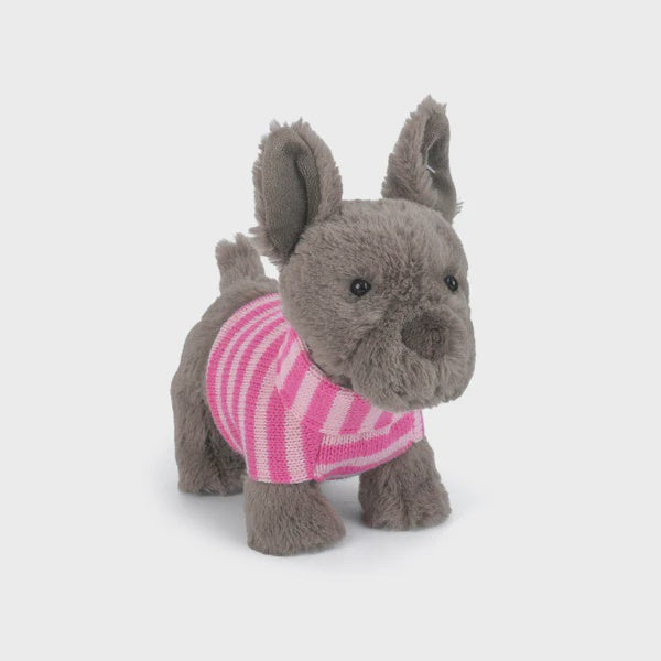 Darcy French Bulldog