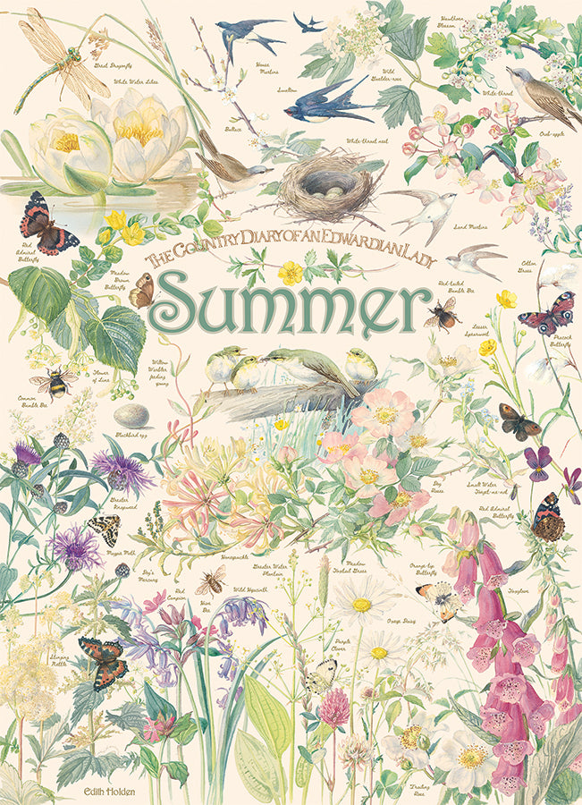 Country Diary: Summer puzzle (1000 pc)