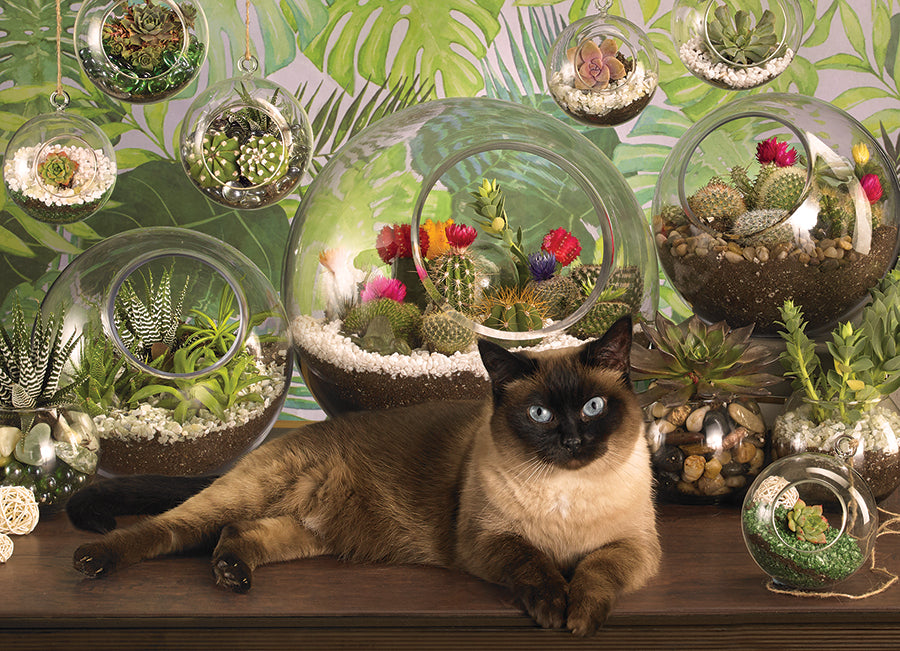 Terrarium Cat puzzle (1000 pc)