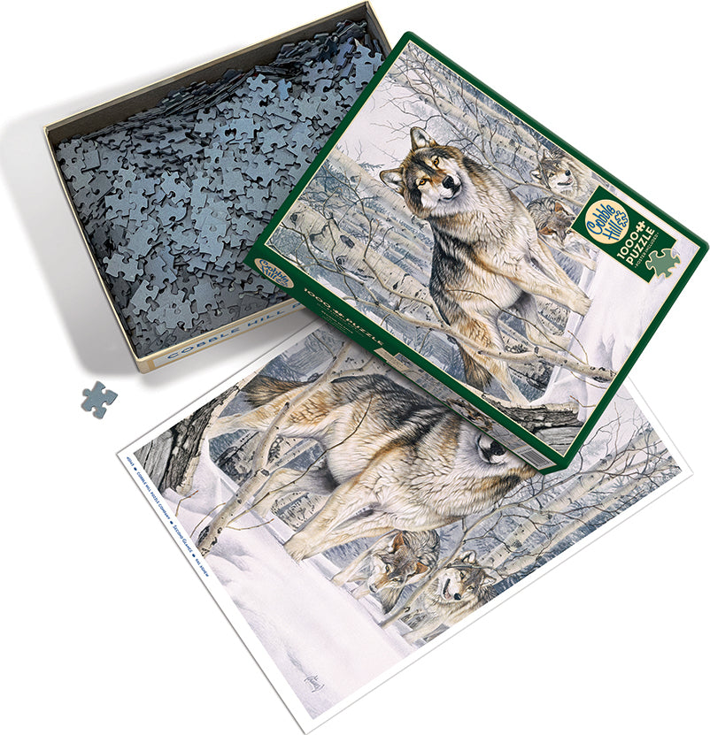 Second Glance puzzle (1000 pc)