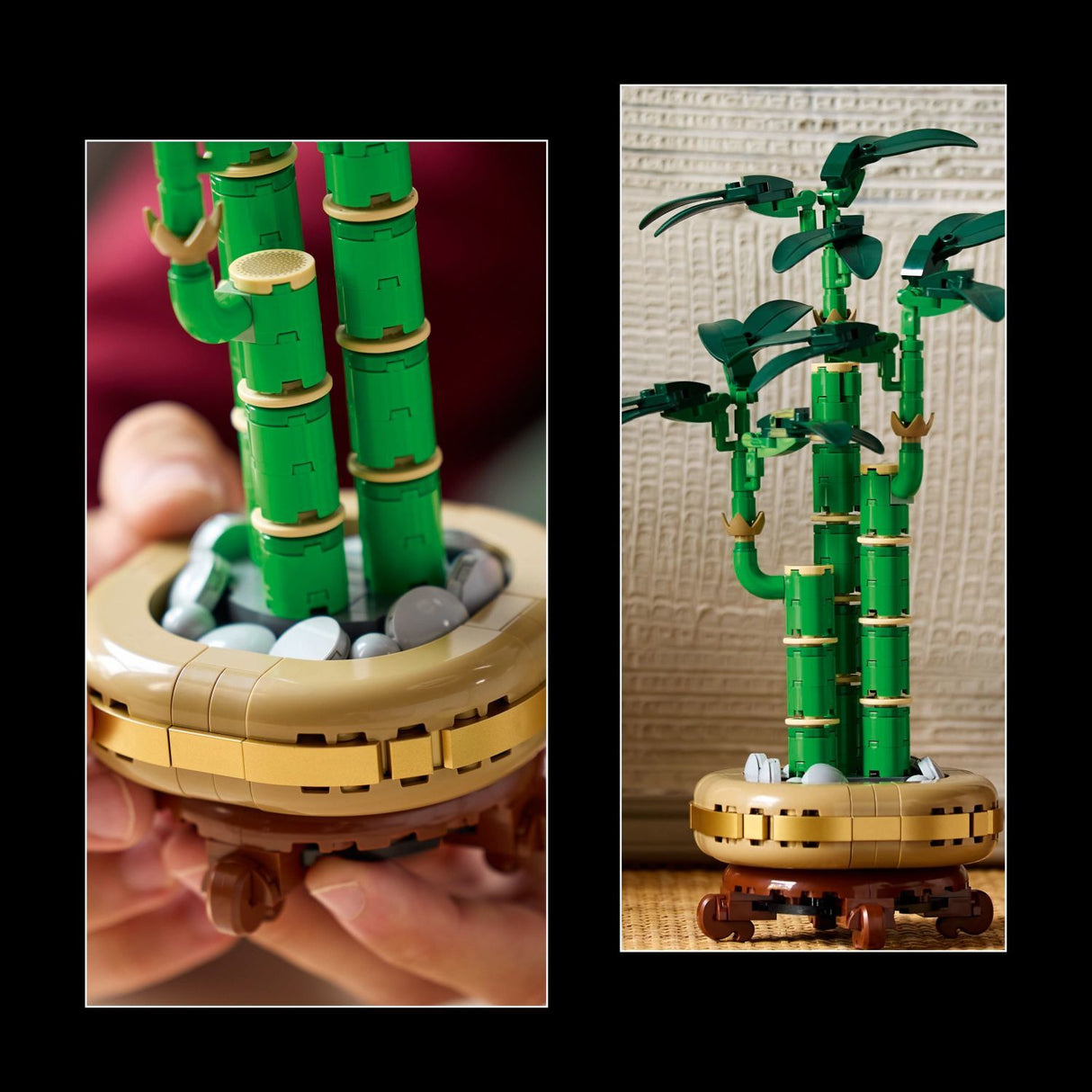 LEGO Botanicals: Lucky Bamboo