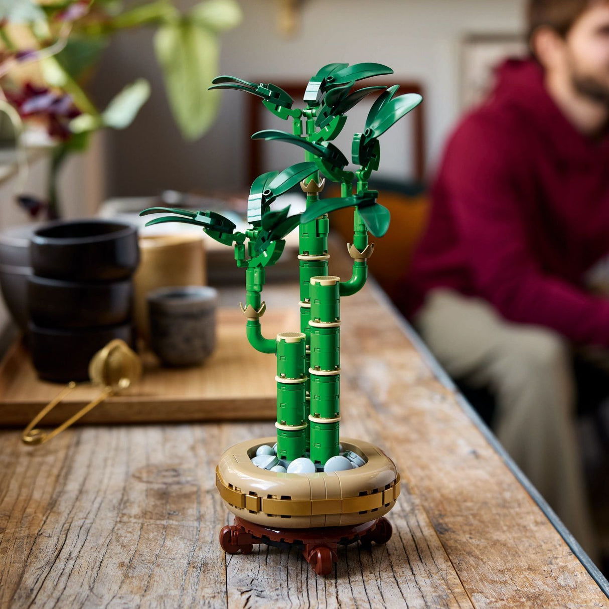 LEGO Botanicals: Lucky Bamboo