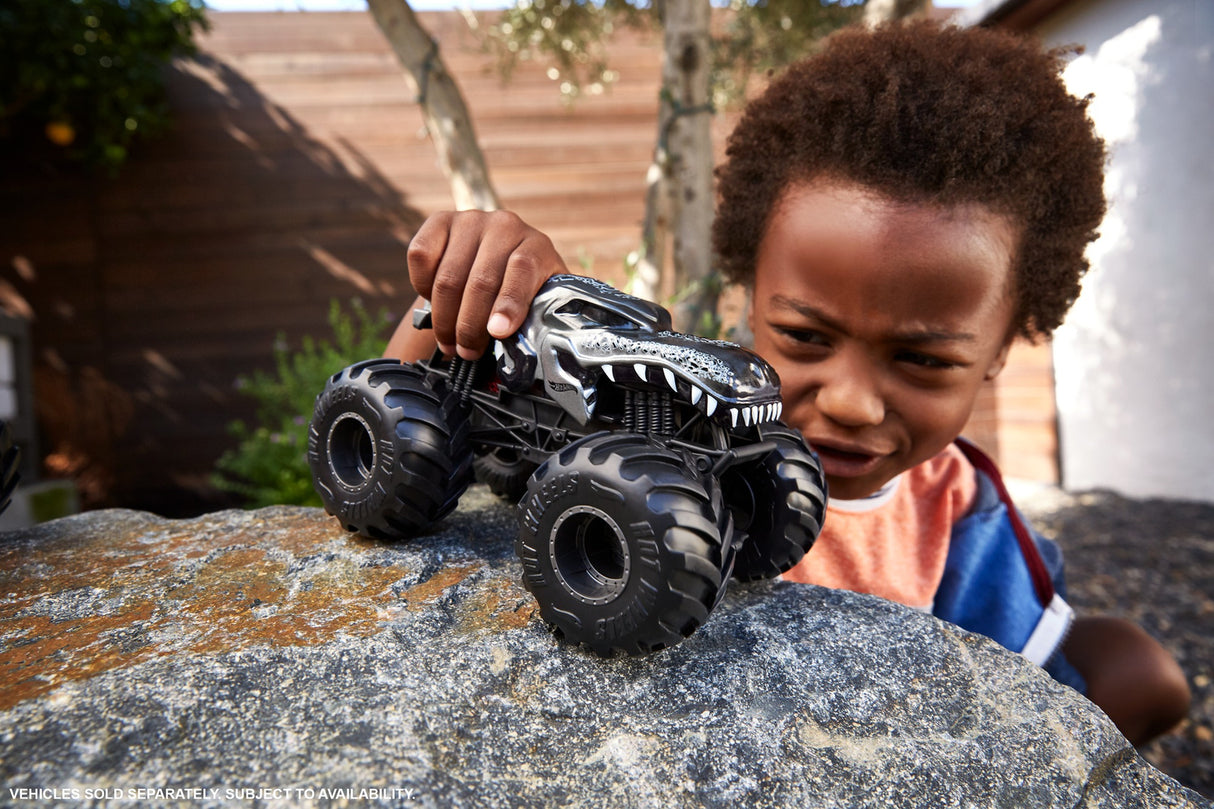 Hot Wheels Monster Trucks Oversized  (assorted)