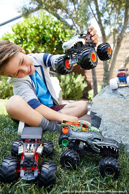 Hot Wheels Monster Trucks Oversized  (assorted)