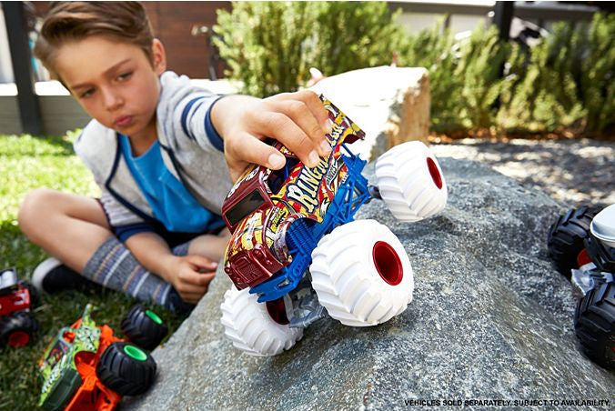 Hot Wheels Monster Trucks Oversized  (assorted)