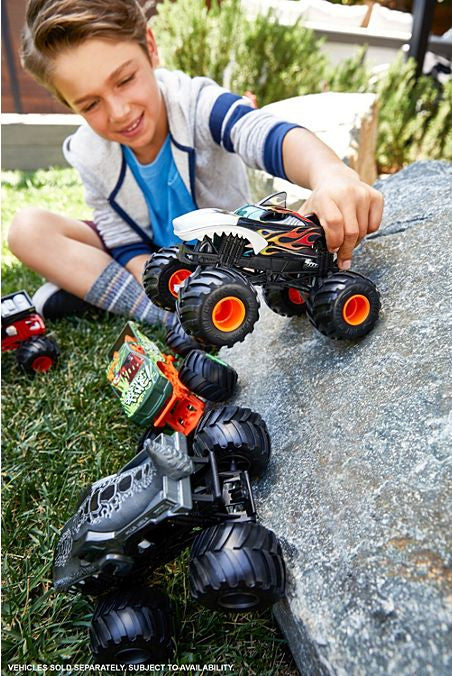 Hot Wheels Monster Trucks Oversized  (assorted)