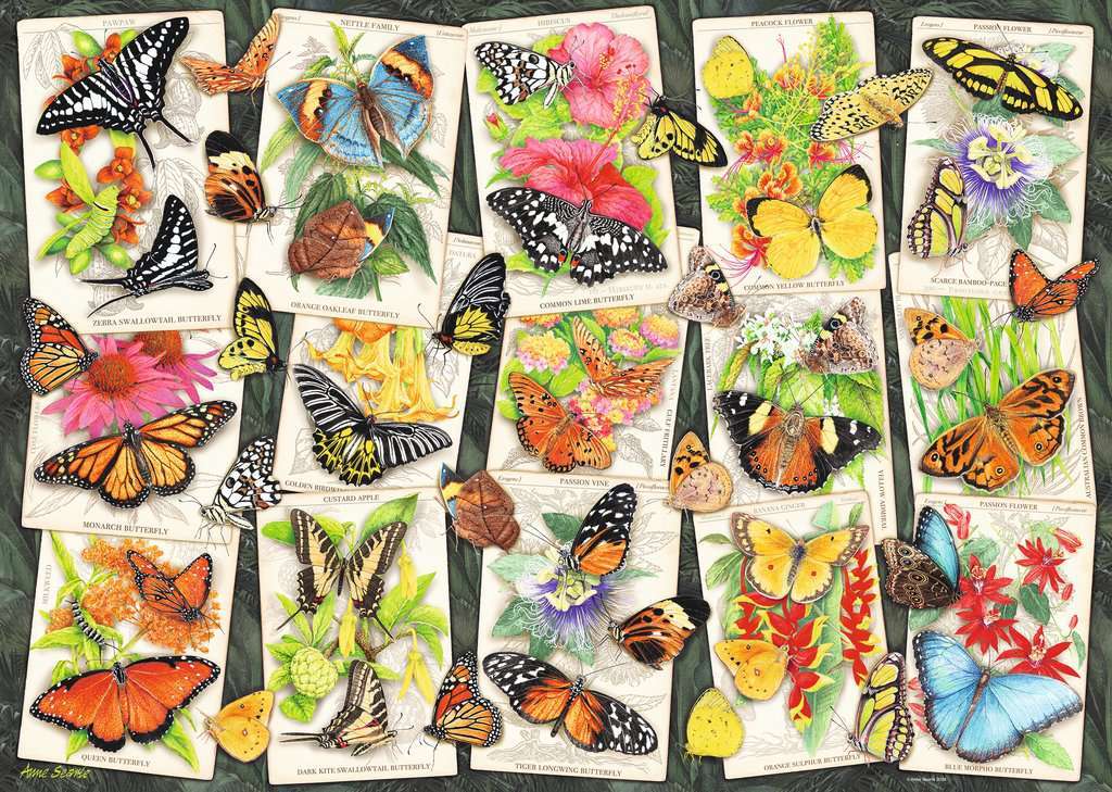 Tropical Butterflies 1000 Pc Puzzle