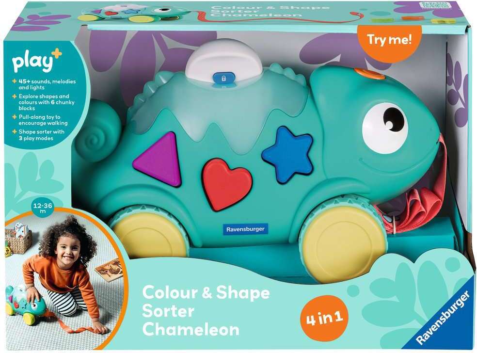 Color & Shape Sorter: Chameleon*