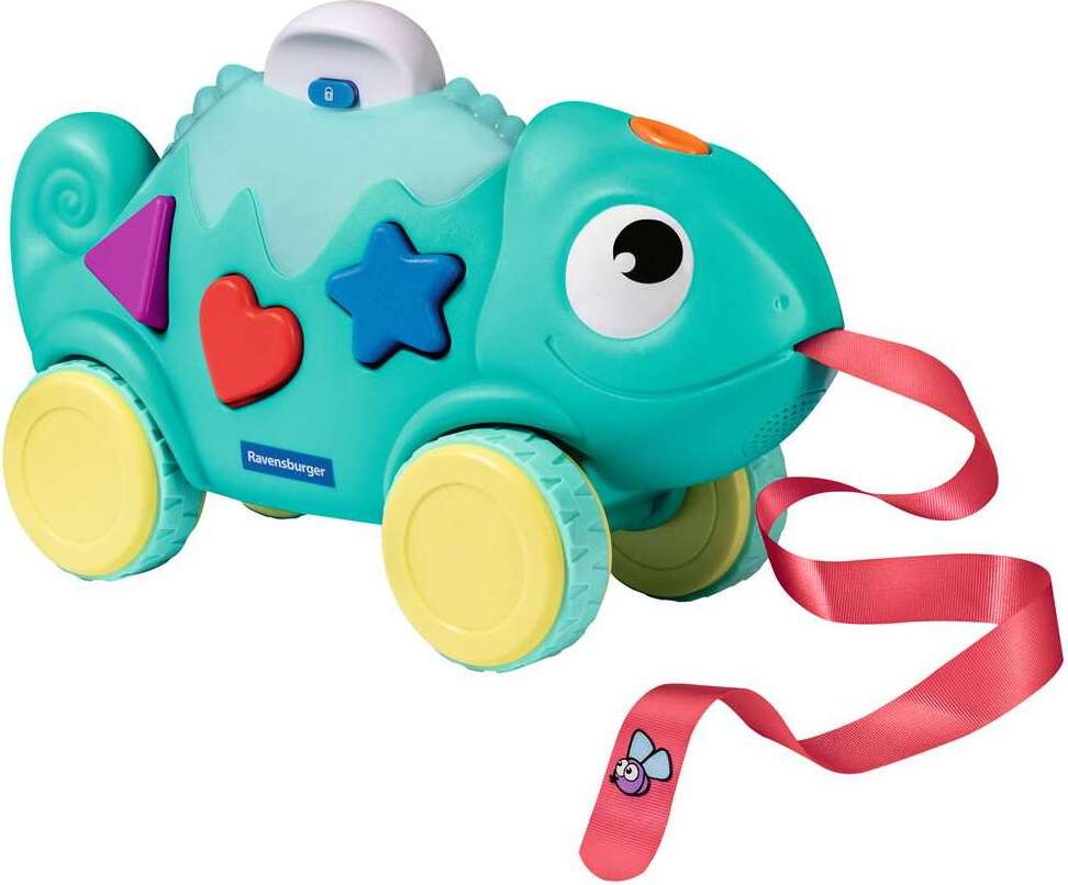 Color & Shape Sorter: Chameleon*