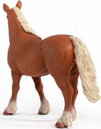 Belgian Draft Horse