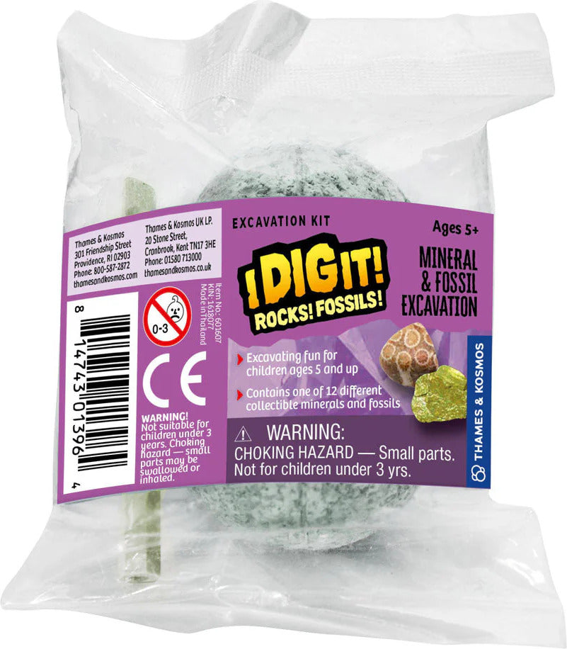 I Dig It! Rocks & Fossils - Mini Excavation (assorted)