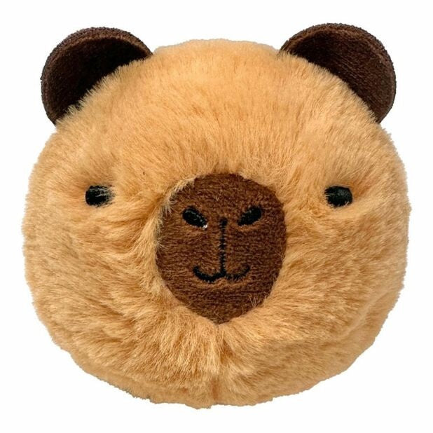 Barry-Beanie Bouncer