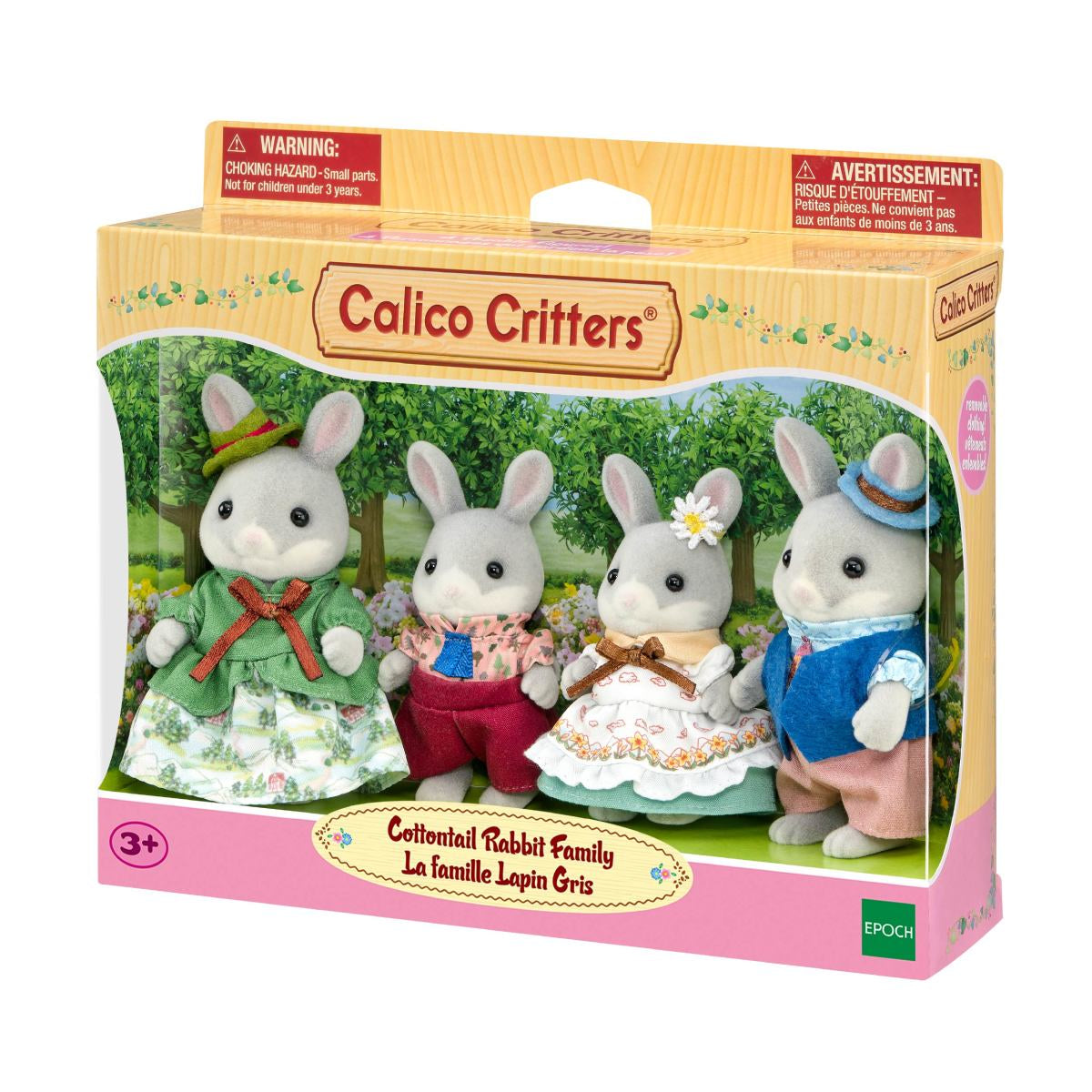 Cottontail Rabbit Family