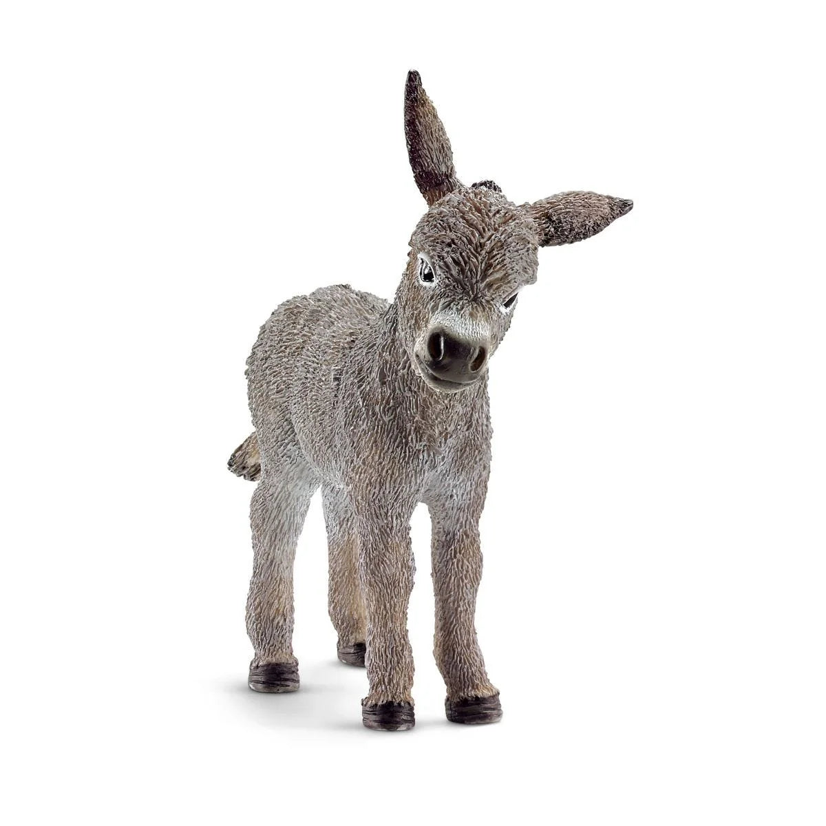Donkey Foal (plan)