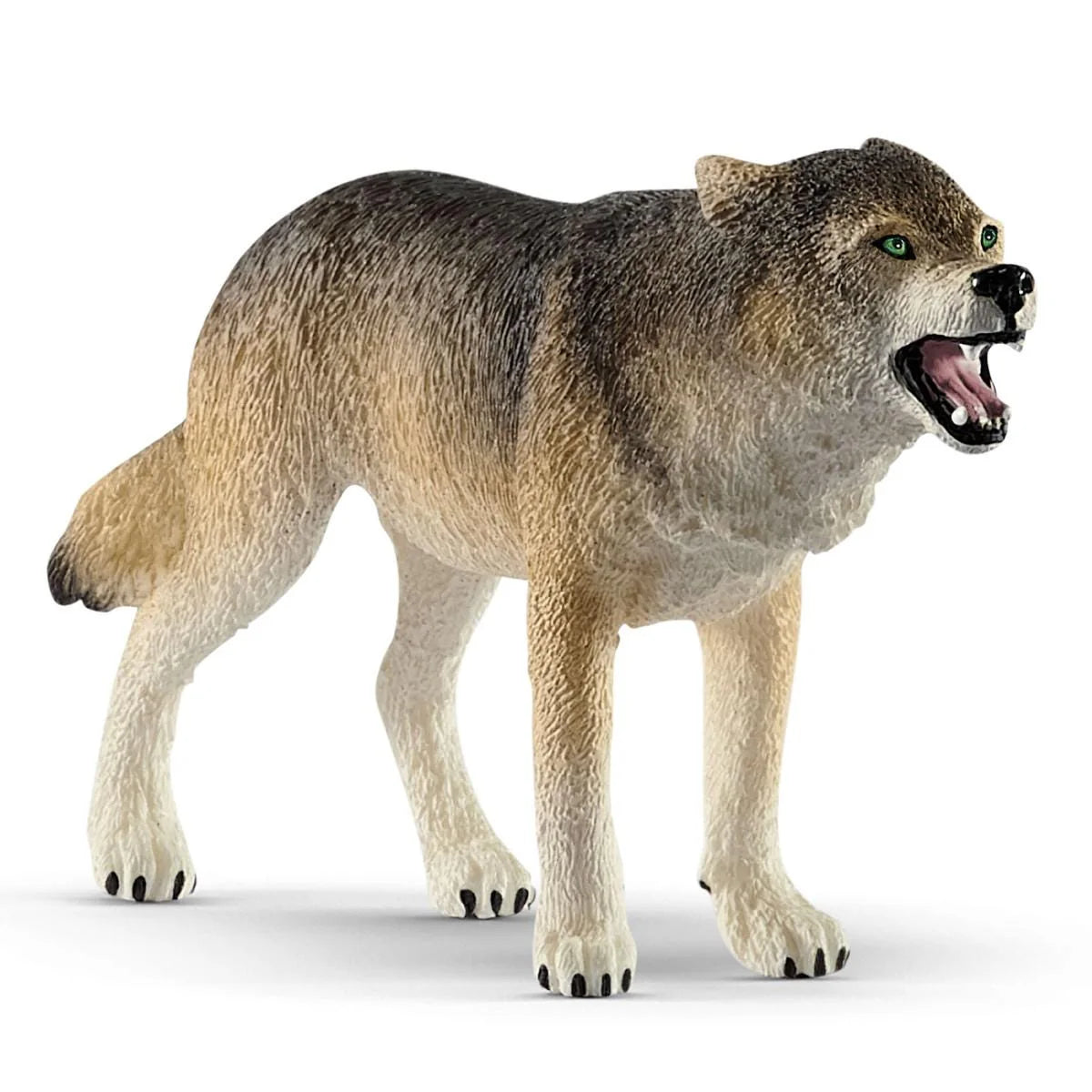 Wolf (PLAN)