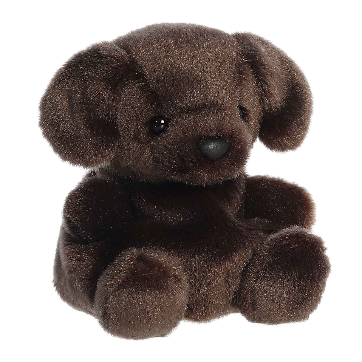 PPALS - Sienna Chocolate Lab 5”