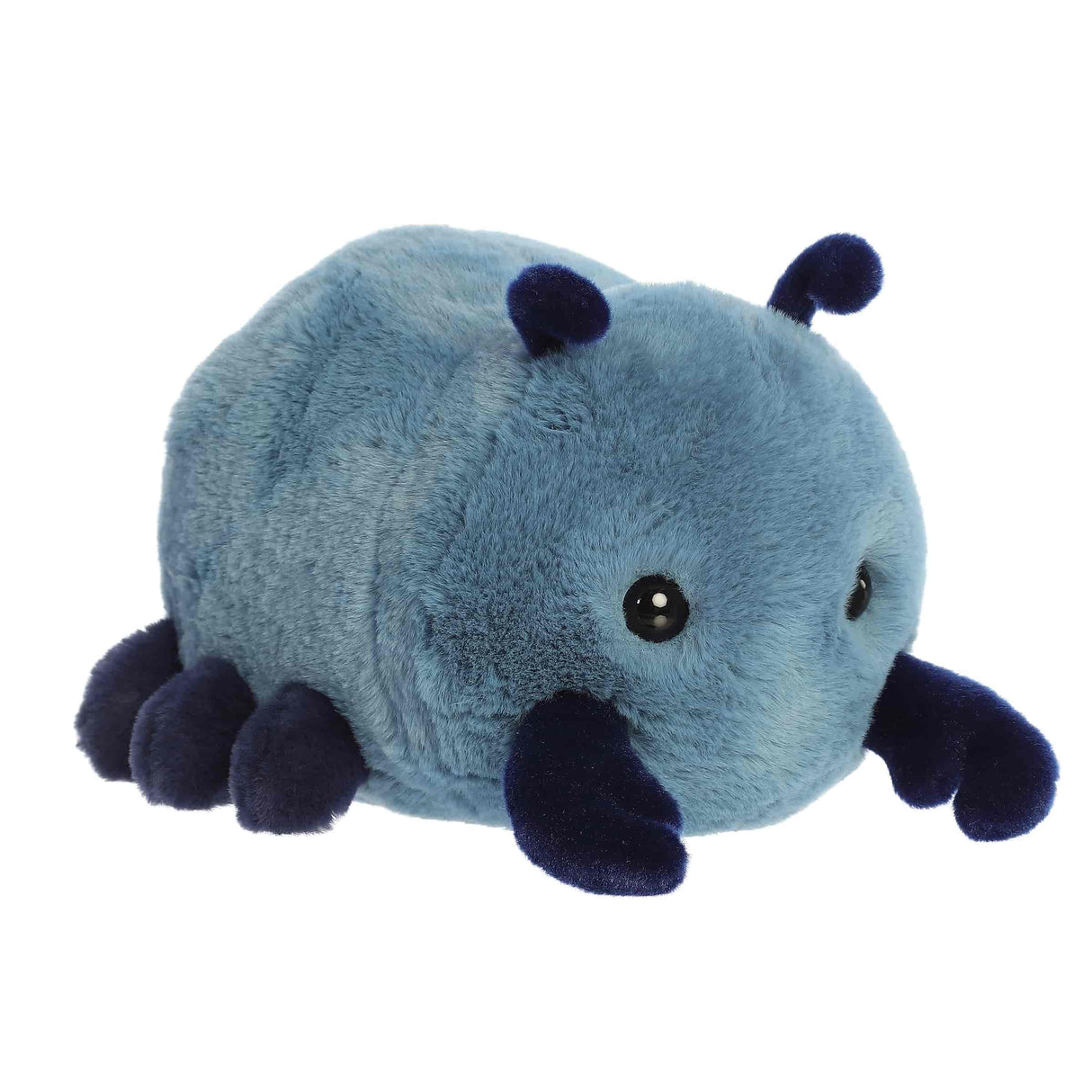 SPUD - Beck Beetle 10”