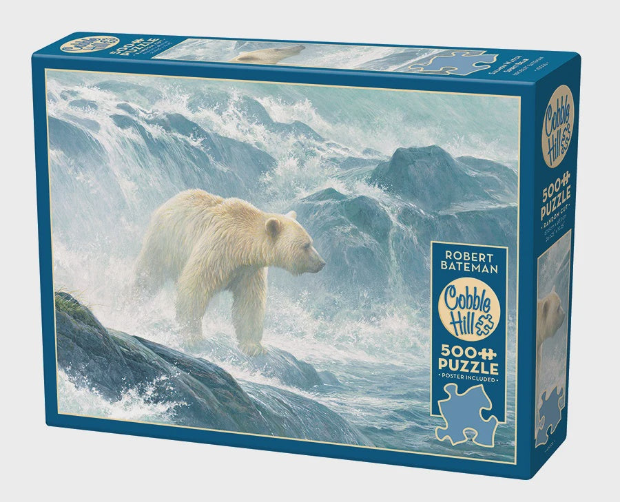 Salmon Watch - Spirit Bear