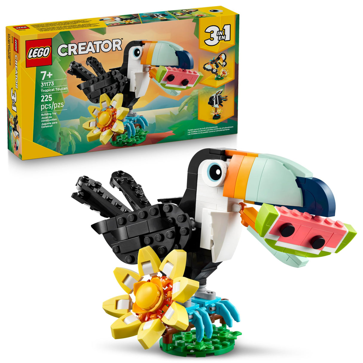 Wild Animal Toucan