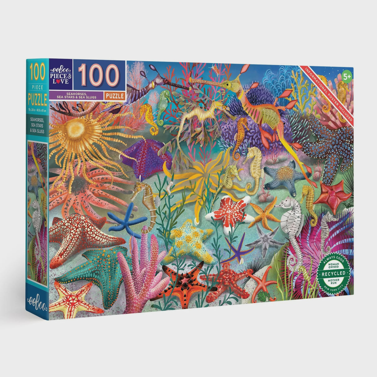 Seahorse, Sea Stars & Sea Slugs 100pc Puzzle