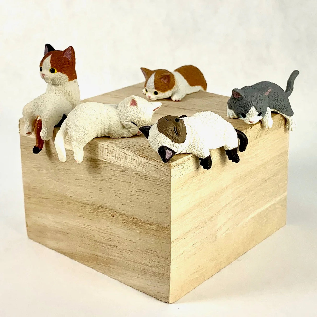 Playful Hanging House Cat Blind Box