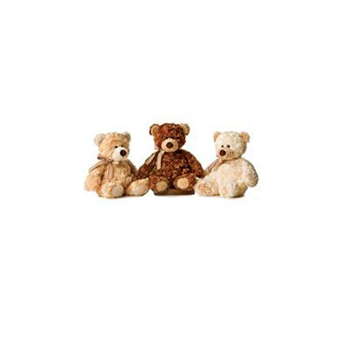 Puddin' Bear Asst.