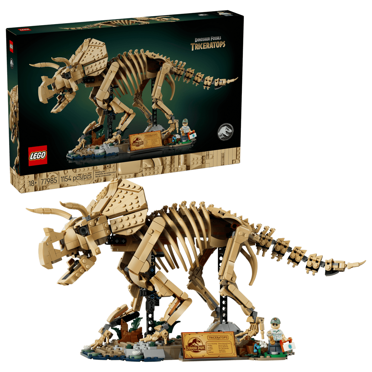 Dinosaur Fossils Triceratops