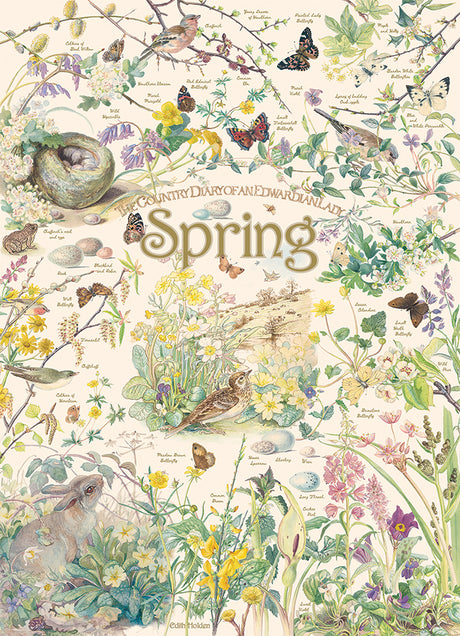 Country Diary: Spring puzzle (1000 pc)