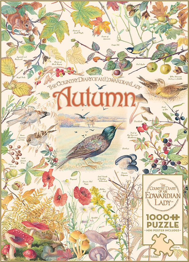 Country Diary: Autumn puzzle (1000 pc)