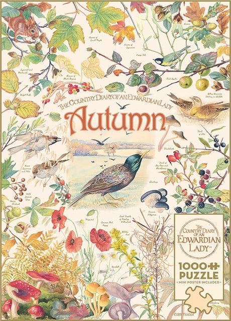 Country Diary: Autumn puzzle (1000 pc)