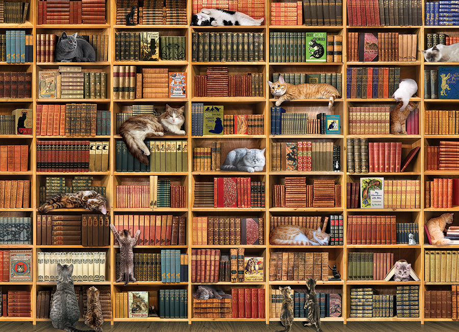 The Cat Library puzzle (1000 pc)