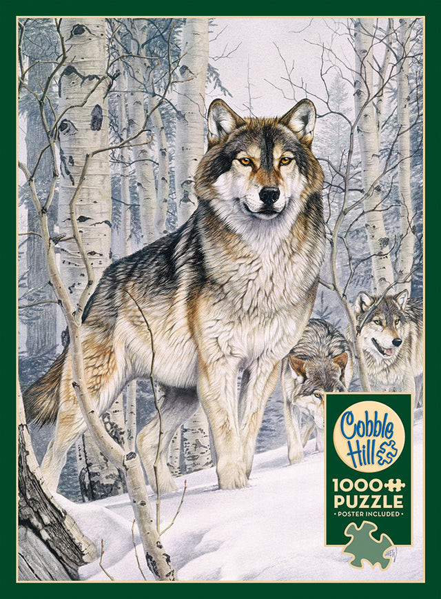 Second Glance puzzle (1000 pc)