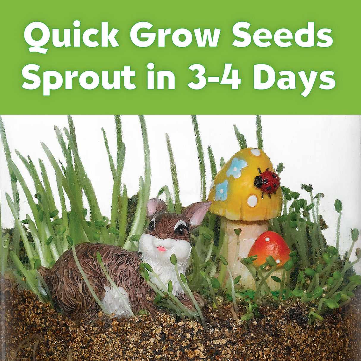 Grow N' Glow Terrarium