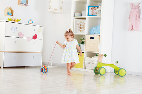 Baby Bird Pull Along