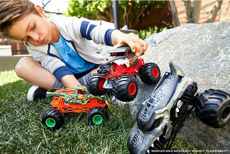 Hot Wheels Monster Trucks Oversized  (assorted)