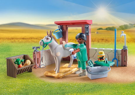 Veterinary mission with the donkeys