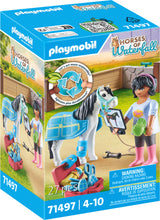 Playmobil Horse therapist