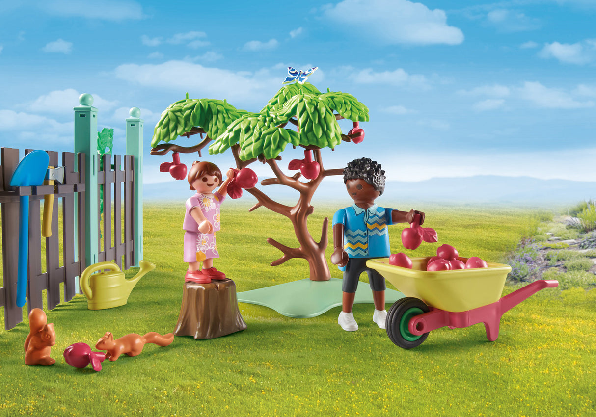 Playmobil Small Chicken Farm