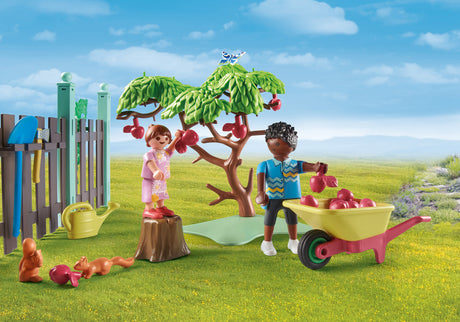 Playmobil Small Chicken Farm