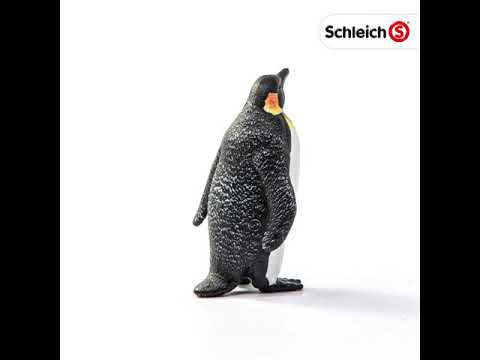 Emperor Penguin-2