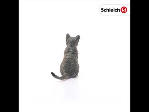 Cat, Sitting (plan)