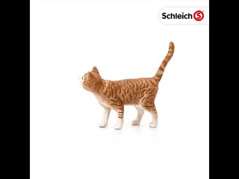 Cat (PLAN)