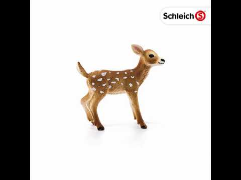 White Tailed Fawn (Plan)