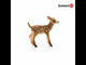 White Tailed Fawn (Plan)
