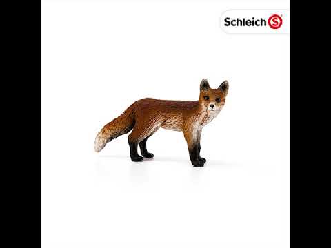 Red Fox (plan)