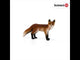 Red Fox (plan)