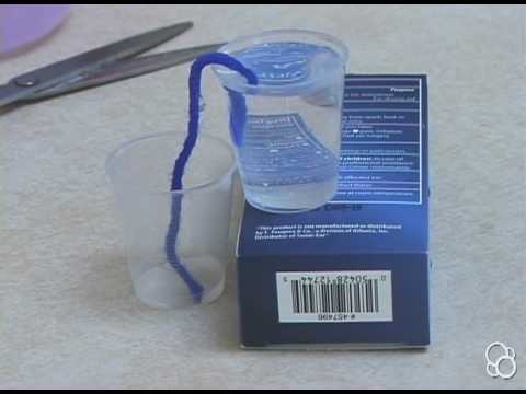 T&K Kids First: Stepping Into Science