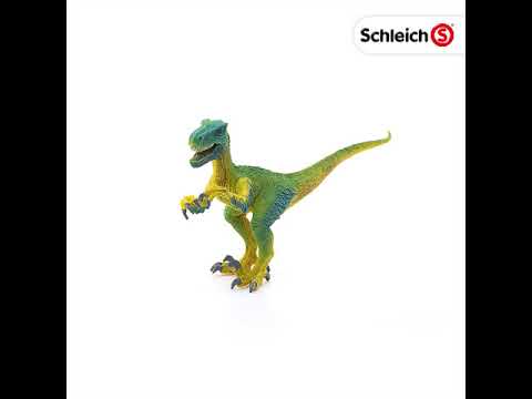 Velociraptor-3