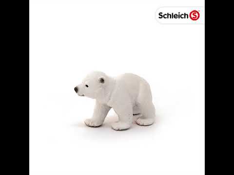 Polar Bear Cub, Walking (plan)