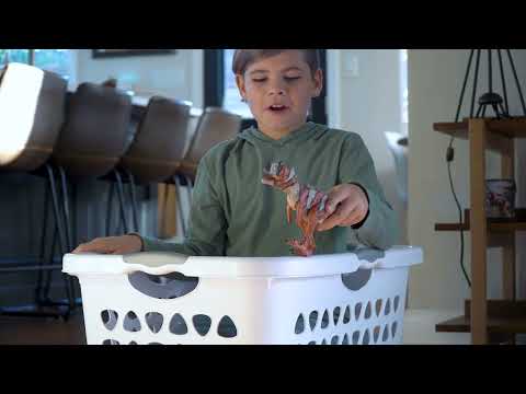 Majungasaurus NEW JAN